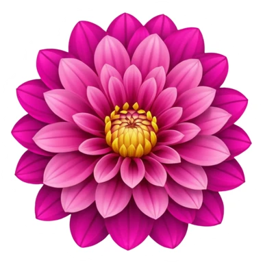 dahlia flower, vibrant, simple, clean, no text sticker
