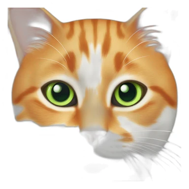 orange and white cat with green eyes sticker