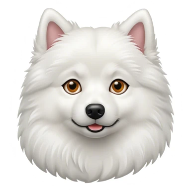 American Eskimo dog  sticker