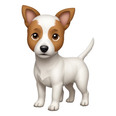 a full body white jack russel looking dog the size of a kelpie with light brown ears and a light brown patch on one eye, flopped down ears and a large snout sticker