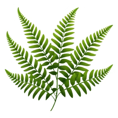 lush green fern fronds, natural plant sticker