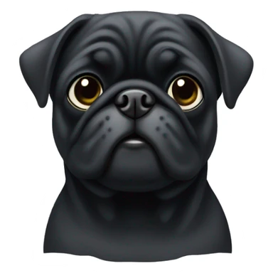 Black pug with grey fur on her face  sticker