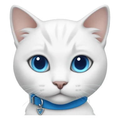 White cat with blue and white collar sticker