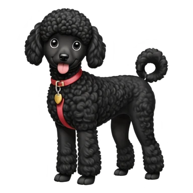 A high-resolution digital illustration of a black poodle in a clean, semi-realistic style. The poodle is shown from the chest up, facing forward with a slight tilt of the head to the left, tongue out playfully. sticker