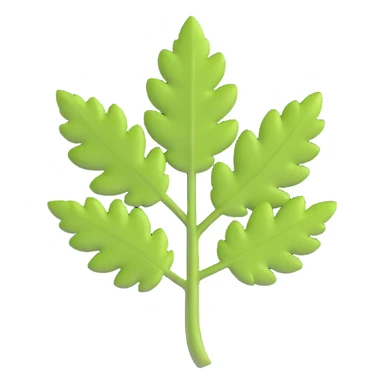 cilantro leaf, clean, minimal, cute, well-lit, soft shadow, white background sticker