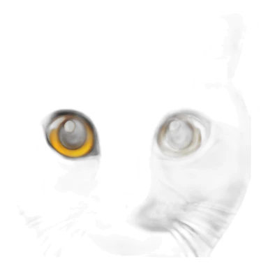 make a british cat with orange eyes sticker