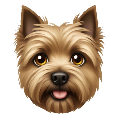 A brown cairn terrier with big eyes sticker