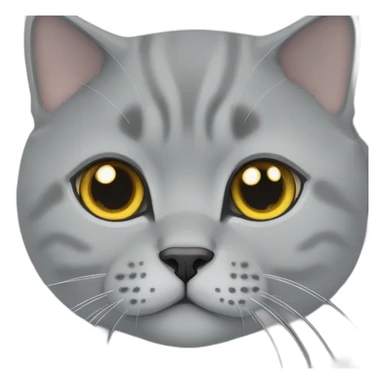 Grey british shorthair sticker