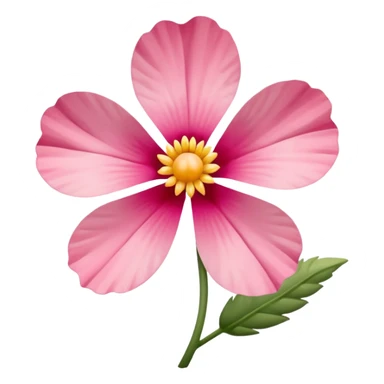 coquina flower sticker