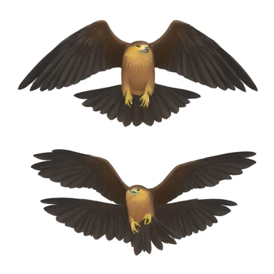 Aquila heliaca sticker