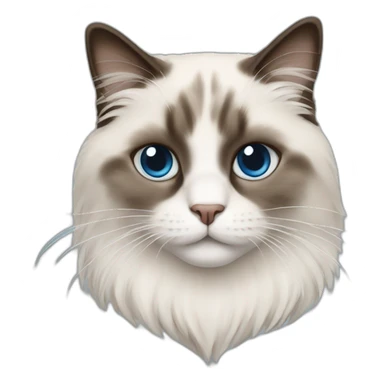ragdoll cat on office sticker