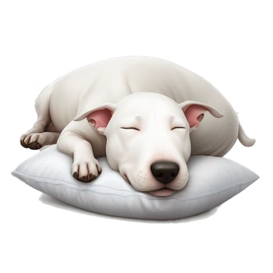 Bull terrier lying down on pillow sleeping cute  sticker