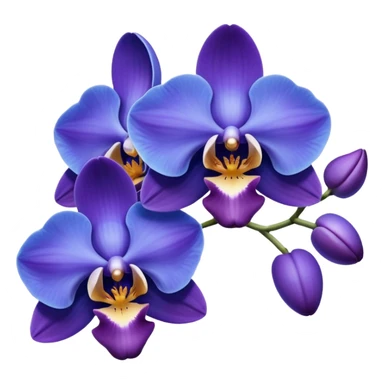 Blue orchids sticker