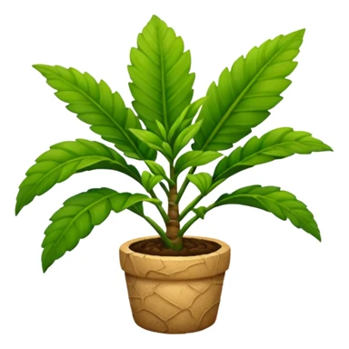 ginger plant sticker