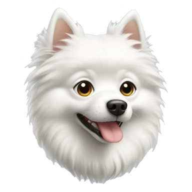 White Spitz boy sticker