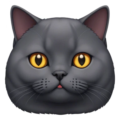 black British shorthair cat sticker