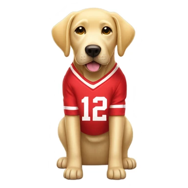 Yellow lab wearing a Nebraska football sweater sticker