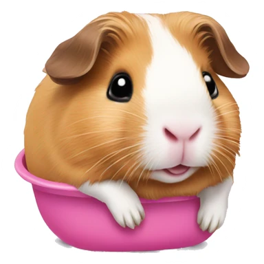Guineapig in a pink hammoc sticker