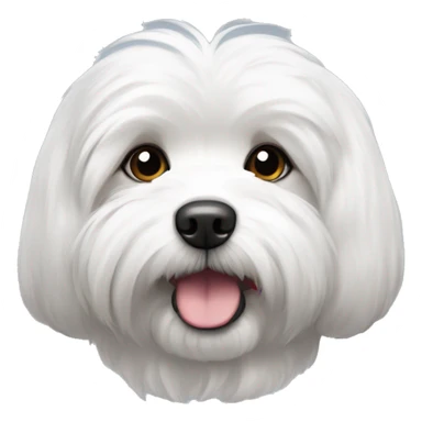 Coton de tulear avec oreille brune and grises sticker
