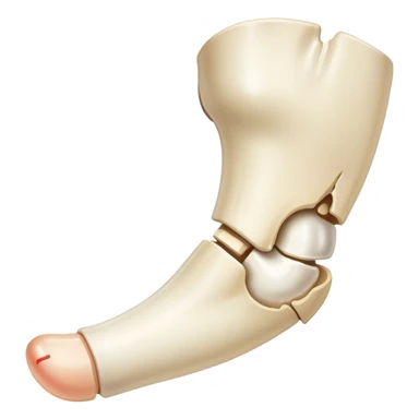 broken bone in half sticker