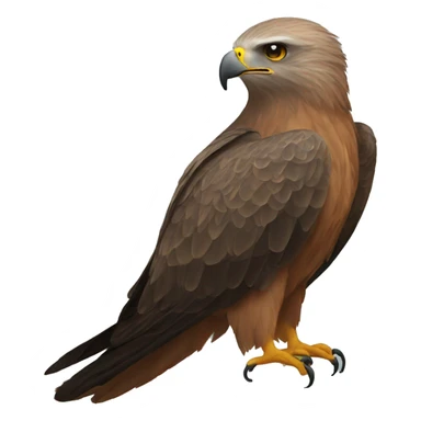 Black Kite sticker