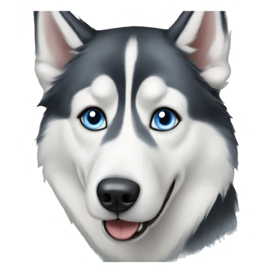 Blue eyed husky dog portrait  sticker