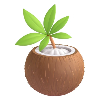 3D emoji style coconut with a small green leaf, simple and expressive sticker