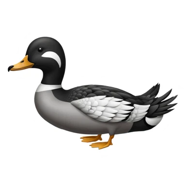 Loon duck sticker