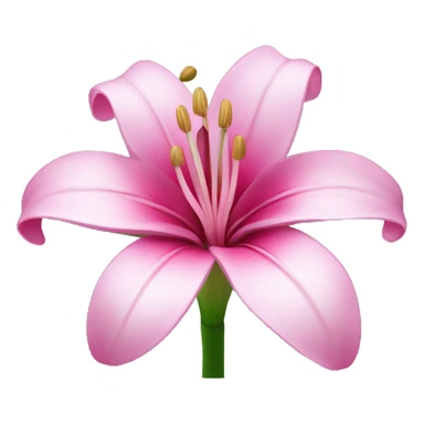 Pink lilie flower  sticker