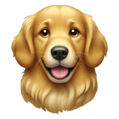Dog Golden retriever sticker