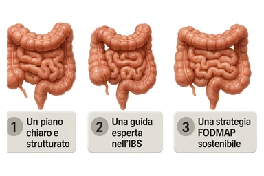 emoji stile iphone di 3 targhette numerate con intestino realistico davanti ad ogni targhetta, le targhette sono:
"1 – Un piano chiaro e strutturato
2 – Una guida esperta nell’IBS
3 – Una strategia FODMAP sostenibile"
, iperrealistico 4k sticker