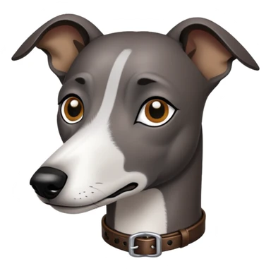 Black whippet with dark brown collar sticker