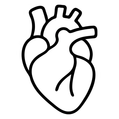 anatomical human heart, simple icon style, minimalistic, clear lines sticker