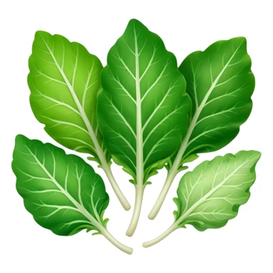 different salad leaves  sticker