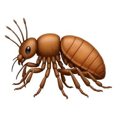Lice sticker