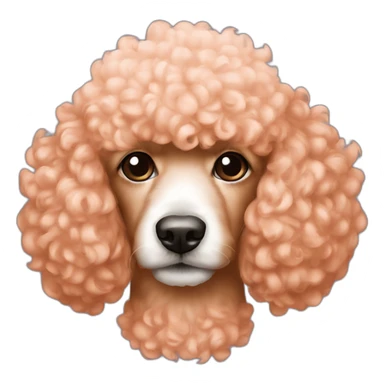 peach-poodle-royal sticker