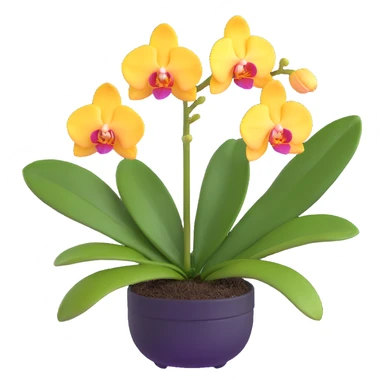 Realistic phalaenopsis orchid with delicate blooms and prominent large green leaves clearly visible sticker