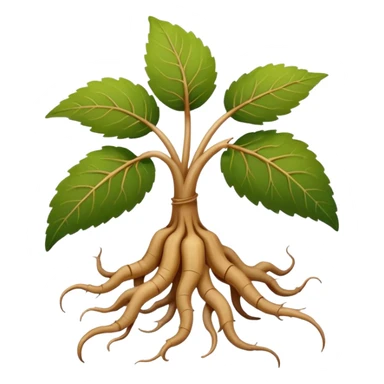 single wild ginseng root, simple and cute sticker