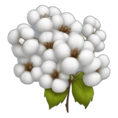 Cotton flower bunch  sticker