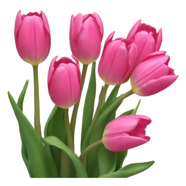 pink tulips  sticker