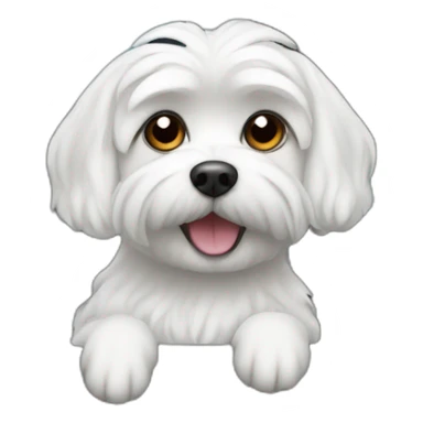 Maltese dog in car driving sticker