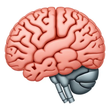 Brain xray sticker
