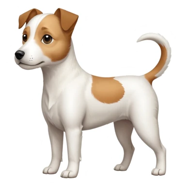 a full body slightly chubby white parson russell terrier looking dog the size of a kelpie with light brown long ears and a light brown patch on one eye and a large snout. the rest of the dog is completely white sticker