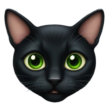 green eye bombay black cat sticker