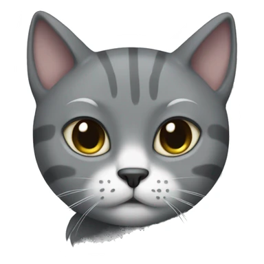Grey cat with a solid grey face and white patch on chest  sticker