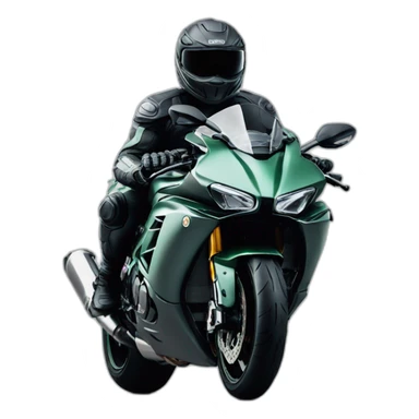 Ninja h2r sticker