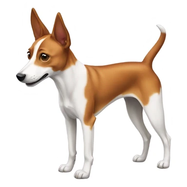 Basenji dog sticker