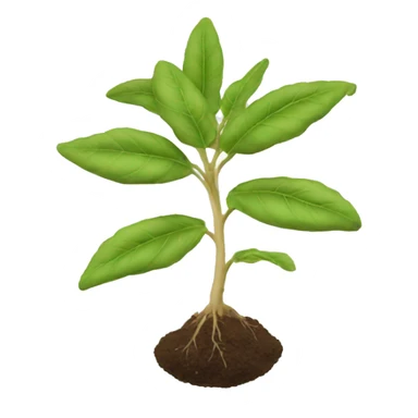 ashwagandha plant sticker