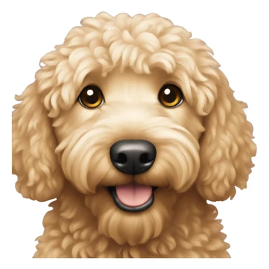 Miniature golden doodle  sticker