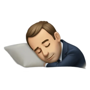 Emanuel macron sleeping sticker